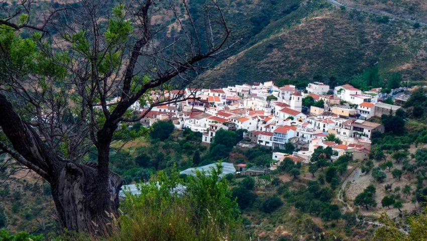 Imagen del bloque número Imagen del bloque número